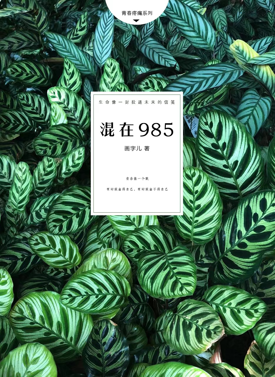 混在985