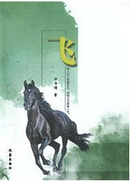飞封面