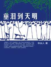 垂泪到天明封面